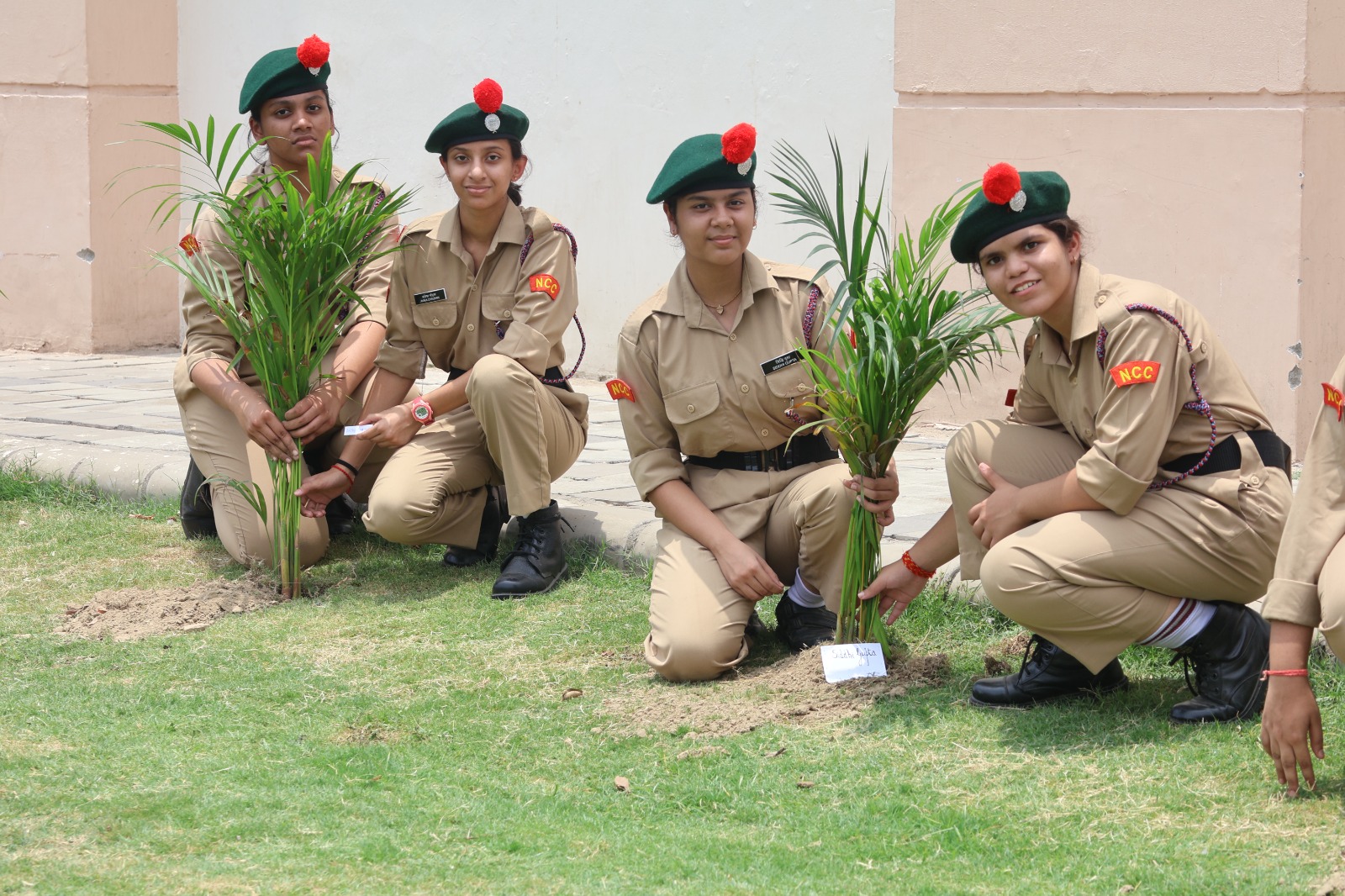 Tree Plantation Drive